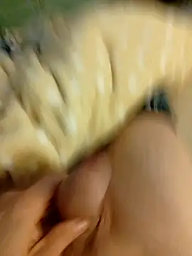 Graimito online show from March 2026 03:41:02 PM