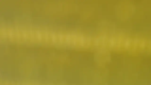 Perla Jonhson Rs online show from December 2025 02:51:02 AM