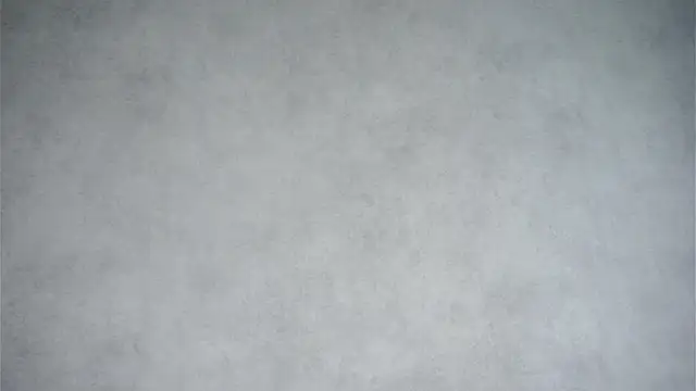 MonetLeitman online show from April 2026 01:24:02 AM