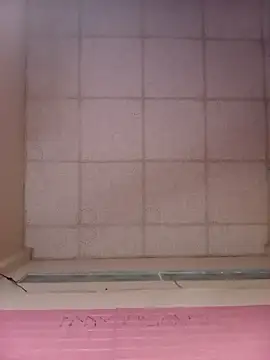 Cherry pusy99 online show from October 2025 12:25:02 PM