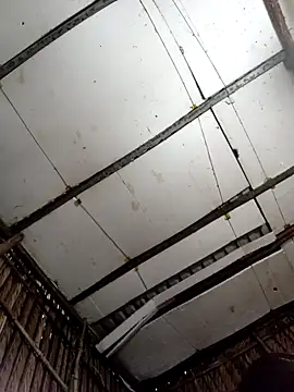 Cherry pusy99 online show from October 2025 12:09:02 AM