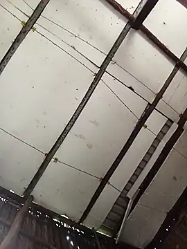 Cherry pusy99 online show from November 2025 01:09:01 AM