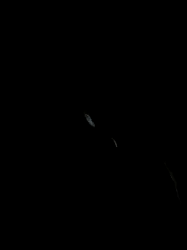 Pikachucums4u online show from November 2025 02:45:02 AM