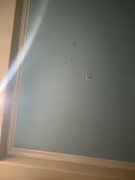 Snapshot of sniper2801 chatting on November 2025 01:56:01 AM sniper2801 online show from November 2025 01:56:01 AM