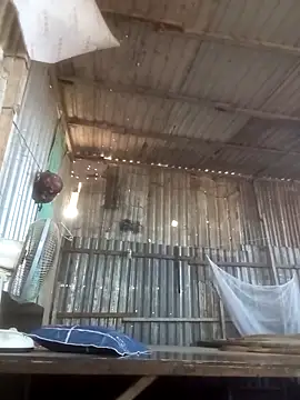 Dothanhthuan555 online show from March 2026 02:44:02 AM