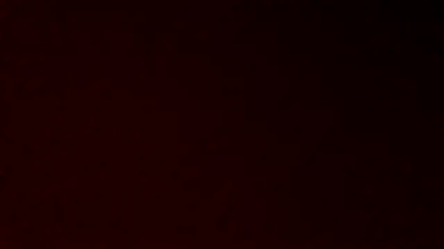 gatitachilena2 online show from April 2026 03:35:02 AM