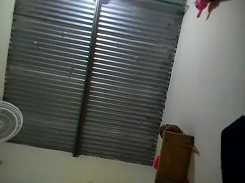 statute t online show from October 2025 10:20:01 PM