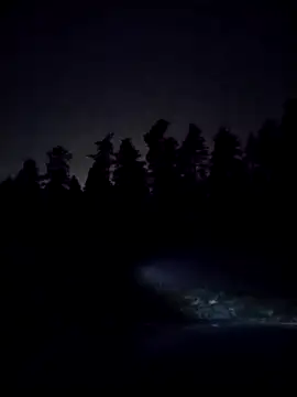 Snapshot of kiimakalu chatting on December 2025 07:55:02 PM kiimakalu online show from December 2025 07:55:02 PM