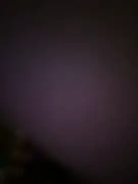 fresh-laD online show from February 2026 12:11:01 AM