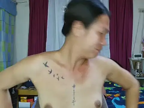 sexychekaiixxx online show from February 2026 12:24:02 PM