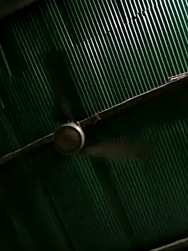 Jessica-03 online show from March 2026 07:17:01 PM