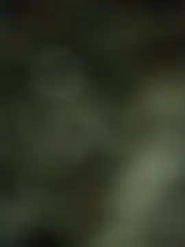 Parjoo1234 online show from October 2025 02:29:02 PM