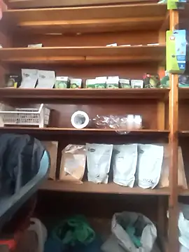 szabi1995 online show from January 2026 08:09:01 AM