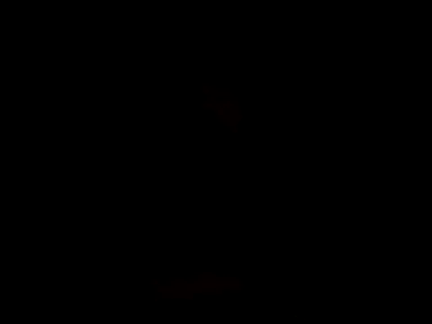 YoussefAl-Fahl online show from October 2025 10:18:02 PM