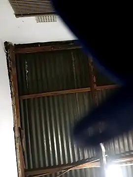 MyGuy352 online show from December 2025 05:36:01 PM