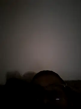memonsait online show from October 2025 04:25:01 AM