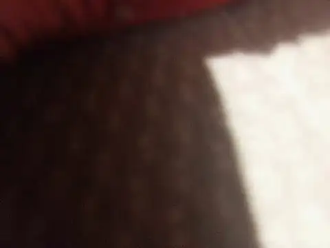 PedroRP69 online show from April 2026 11:44:02 PM