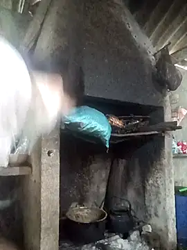 nat-tri online show from December 2025 03:18:02 AM