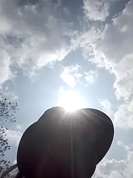 nat-tri online show from February 2026 04:23:01 AM