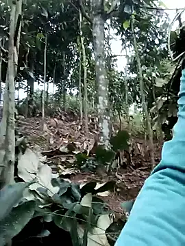 nat-tri online show from January 2026 01:31:01 AM