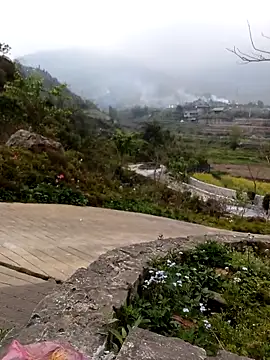 siusiu-00 online show from March 2026 04:41:01 AM