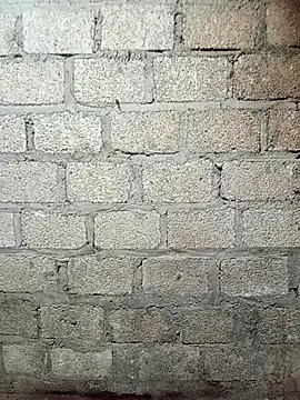 siusiu-00 online show from March 2026 10:42:01 AM