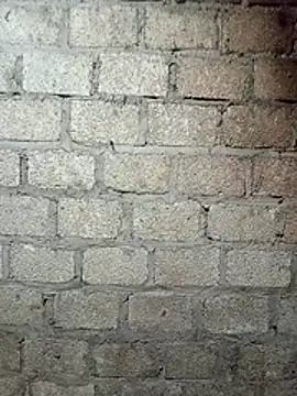 siusiu-00 online show from March 2026 01:59:08 PM