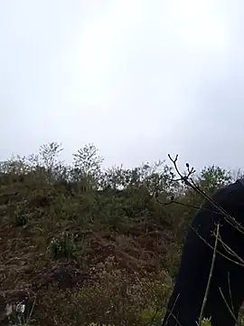 siusiu-00 online show from January 2026 02:51:02 AM