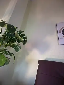 NovaFoxx online show from February 2026 01:54:01 PM