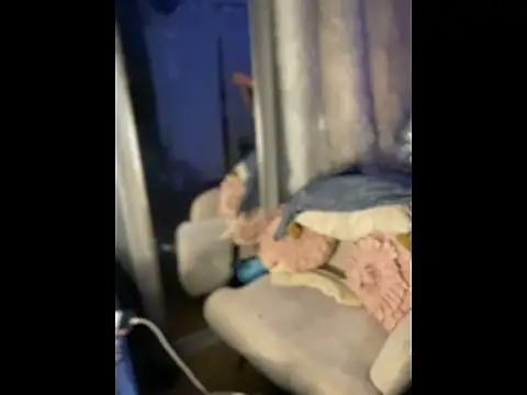 queenkelly1234 online show from April 2026 09:44:01 PM