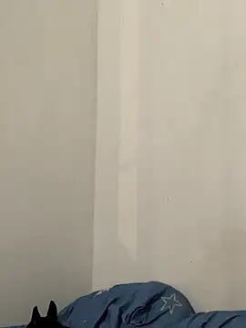 La-Gatiita-trans online show from November 2025 03:29:03 AM