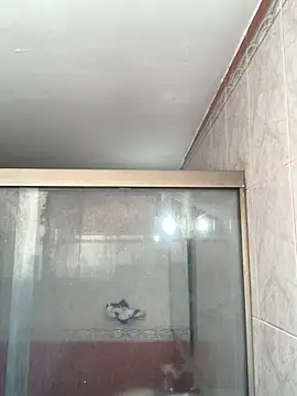 La-Gatiita-trans online show from April 2026 01:57:01 PM