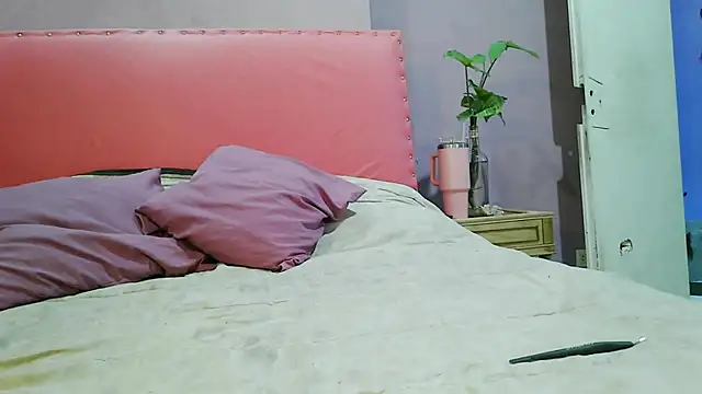 Snapshot of cojeelcamino chatting on November 2025 05:06:01 PM cojeelcamino online show from November 2025 05:06:01 PM