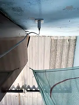 Snapshot of RennySem chatting on November 2025 05:40:02 PM RennySem online show from November 2025 05:40:02 PM