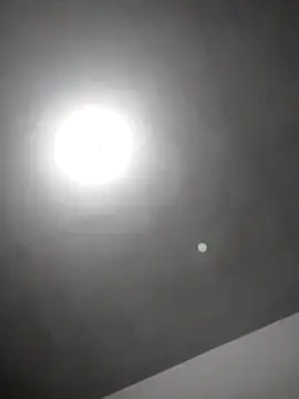 Snapshot of checheludo23 chatting on February 2026 12:22:02 AM checheludo23 online show from February 2026 12:22:02 AM