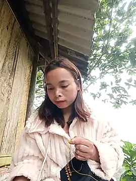 Nguyet2k4 online show from January 2026 01:42:02 AM