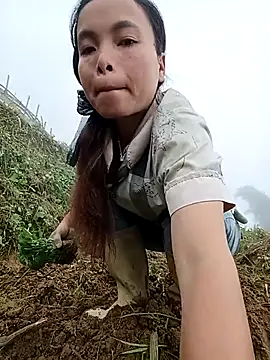 Nguyet2k4 online show from November 2025 07:12:02 AM