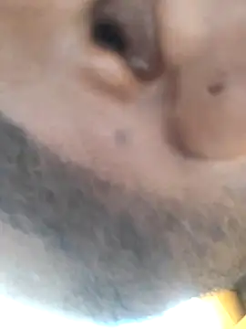 Snapshot of Vickyins480000 chatting on February 2026 05:41:01 AM Vickyins480000 online show from February 2026 05:41:01 AM