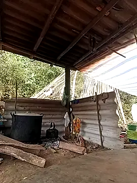 -Kem-01 online show from February 2026 05:18:02 AM