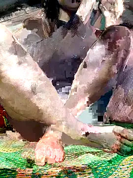 -Kem-01 online show from December 2025 01:10:02 PM