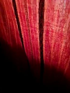 Snapshot of svk_05 chatting on November 2025 01:21:01 AM svk 05 online show from November 2025 01:21:01 AM