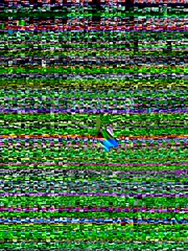 Your hope77 online show from November 2025 04:21:01 PM