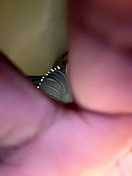 Snapshot of payal_mittal chatting on November 2025 09:26:02 PM payal mittal online show from November 2025 09:26:02 PM