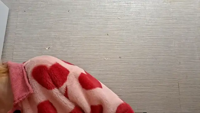 AstraVale online show from November 2025 08:18:02 AM