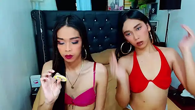 LovelyTs4U online show from November 2025 08:47:02 AM