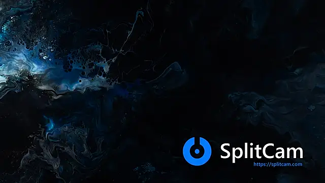 bull419M online show from December 2025 02:08:02 PM