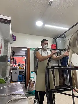 Snapshot of Leonardmoppet chatting on November 2025 08:56:01 PM Leonardmoppet online show from November 2025 08:56:01 PM