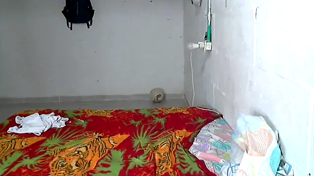 AXionX online show from April 2026 07:11:02 AM