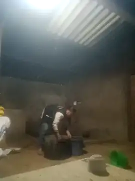 Myzak- online show from October 2025 11:05:02 PM