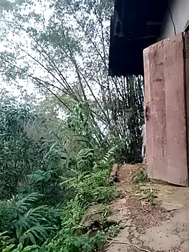 Myzak- online show from March 2026 11:19:02 AM